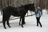 19-01-2013 Na kuligu z Deptaczami. 