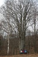 10-03-2012 Sobotnia wycieczka Klubu Górskiego PTTK Kielce.