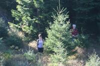 51 Ogólnopolski Zlot Sudeckich PTG PTTK - Głuchołazy 19/21-10-2012