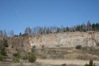 24-03-2012 VIII 25-tka świętokrzyska.