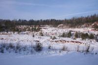 28-01-2012 Zimowy spacer po Suchedniowsko-Oblęgorskim Parku Krajobrazowym, czyli sobotnia wędrówka z „deptaczami Darka” 