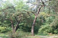 02-09-2012 Niedzielna wycieczka „Deptaczy” na Ponidzie