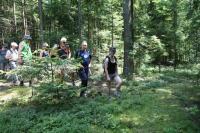 17-07-2011 Wycieczka piesza Klubu Górskiego: Barcza - Występa - Zachełmie - Zagnańsk 