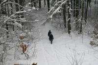 18-02-2012 Wyjazd Klubu Górskiego PTTK Kielce na Altanę 