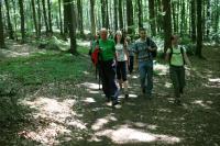 20-05-2012 Niedzielny spacer Klubu Górskiego i Deptaczy po Paśmie Cisowsko-Orłowiańskim.  