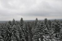 18-02-2012 Wyjazd Klubu Górskiego PTTK Kielce na Altanę 