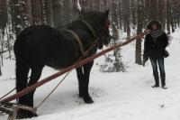 19-01-2013 Na kuligu z Deptaczami. 