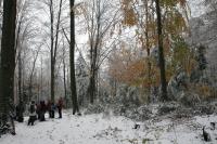 28-10-2012 Złaz jesienny Klubu Górskiego PTTK Kielce.