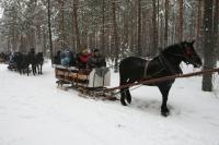 19-01-2013 Na kuligu z Deptaczami. 