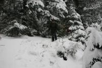 9/10-02-2013 Wyjazd Klubu Górskiego PTTK Kielce w Beskid Mały. 