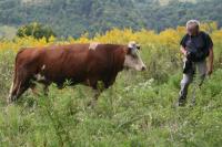 bliskiego spotkania IV stopnia . 