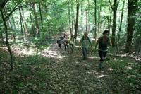 20-05-2012 Niedzielny spacer Klubu Górskiego i Deptaczy po Paśmie Cisowsko-Orłowiańskim.  