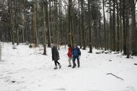 03-02-2013 Zimowe wejście na Łysicę – Trasa Klubu Górskiego PTTK Kielce 