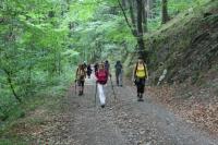 07-10.06.2012 Wspólny wyjazd KG i KTP „Przygoda” w Góry Opawskie, Jeseniki.  