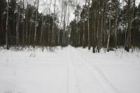 19-02-2012 Niedzielna wycieczka KTP "Przygoda" PTTK Kielce.