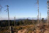 11/12-11-2011 Wyjazd Klubu Górskiego w Gorce 