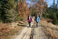 11/12-11-2011 Wyjazd Klubu Górskiego w Gorce 