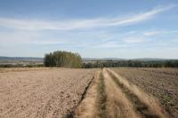 29-09-2012 XIII Świętokrzyski Rajd Pielgrzymkowy, trasa nr 14 „Mocarny szlak”: Kielce - Skorzeszyce - Św. Krzyż 